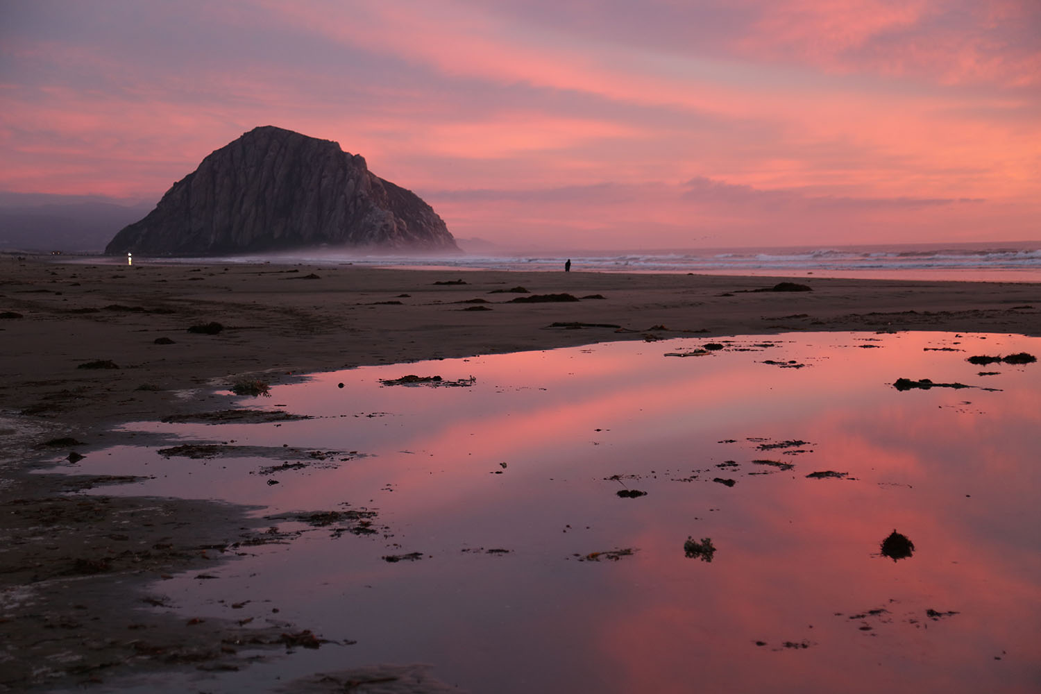 coastal california at dusk
