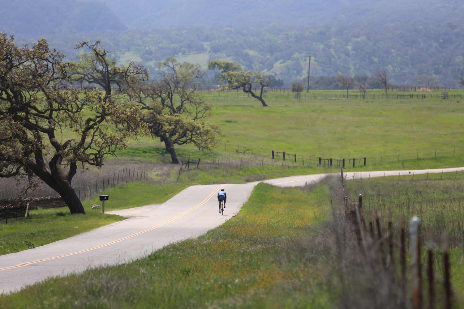 biker races off into the distance 

