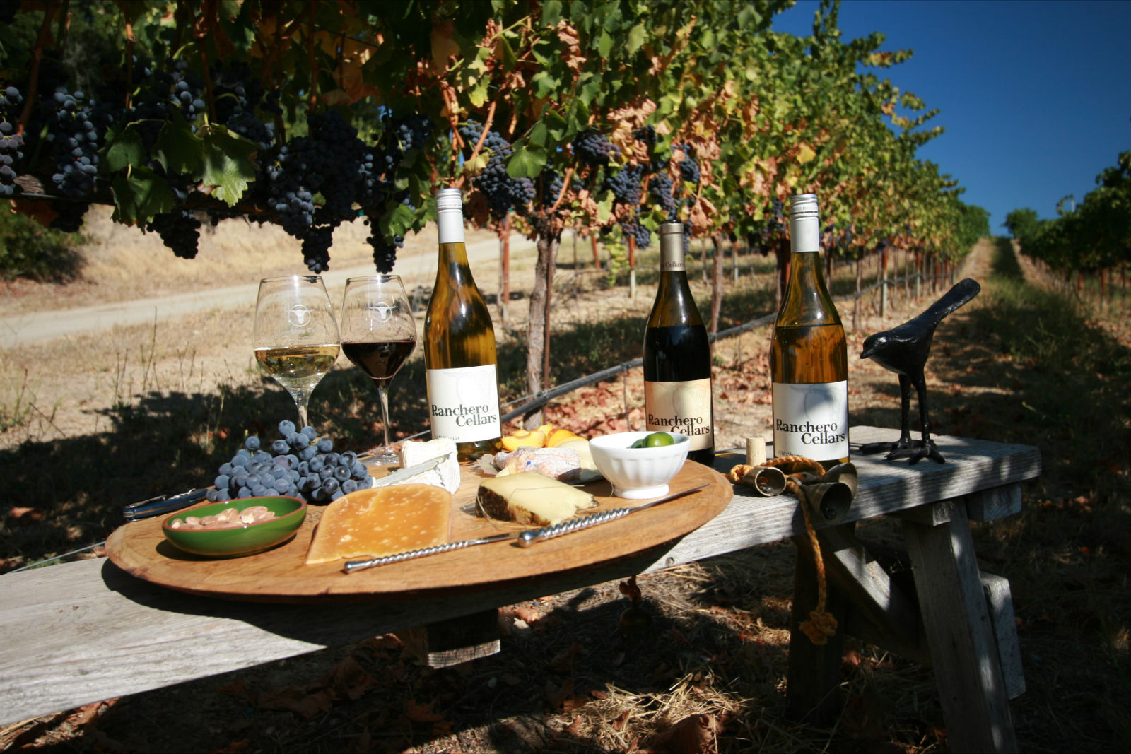 cameron mitchell image of ranchero cellars table wine