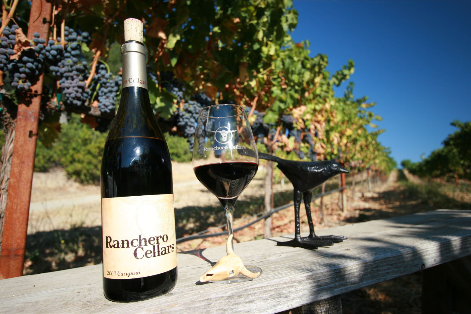 cameron mitchell image or ranchero cellars wine close up