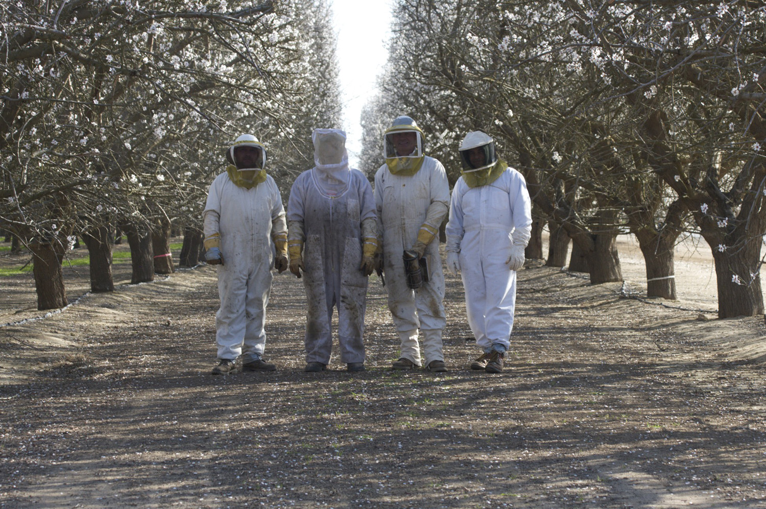 cameron mitchell image of beekeepers