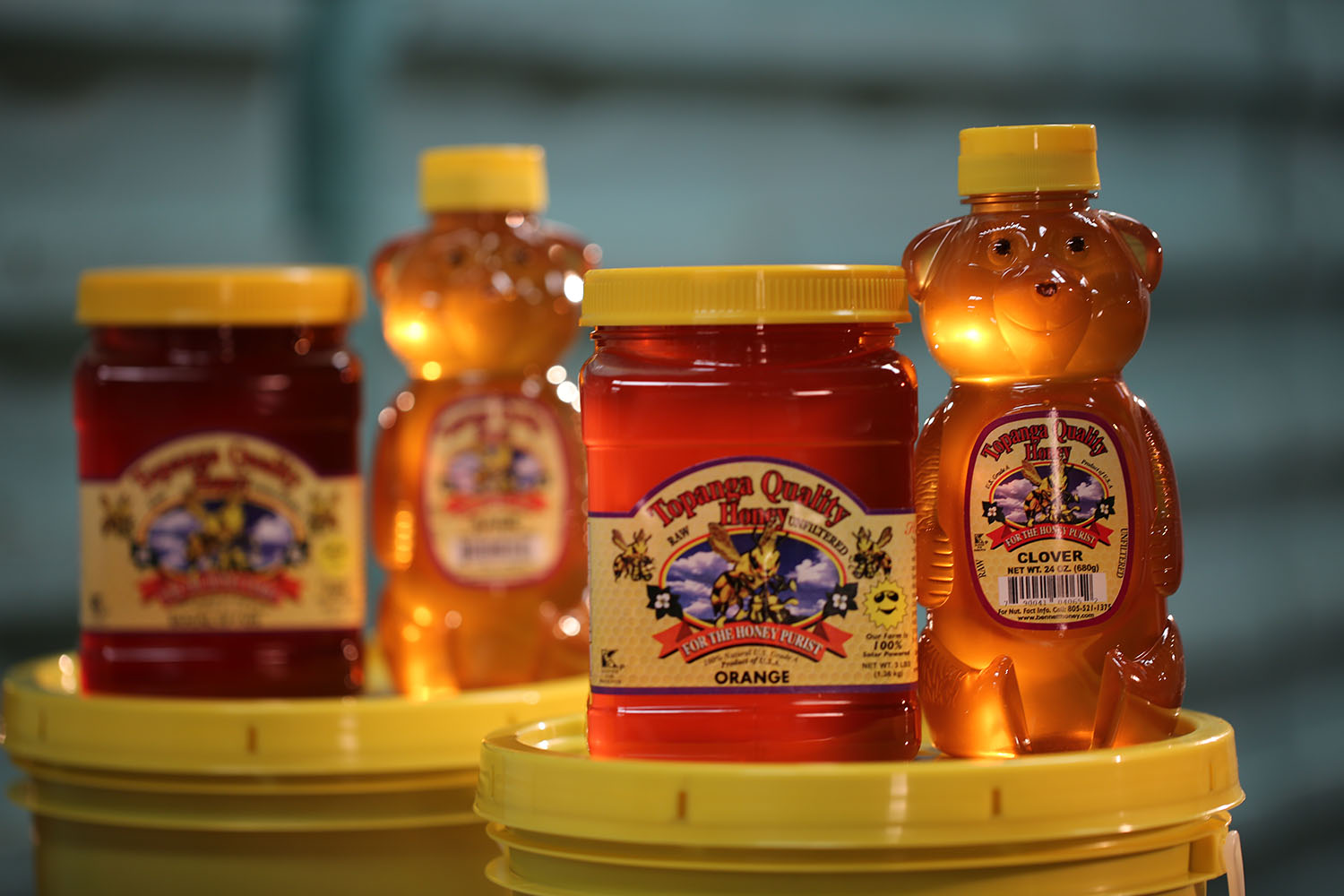 cameron mitchell honey bear bottles 