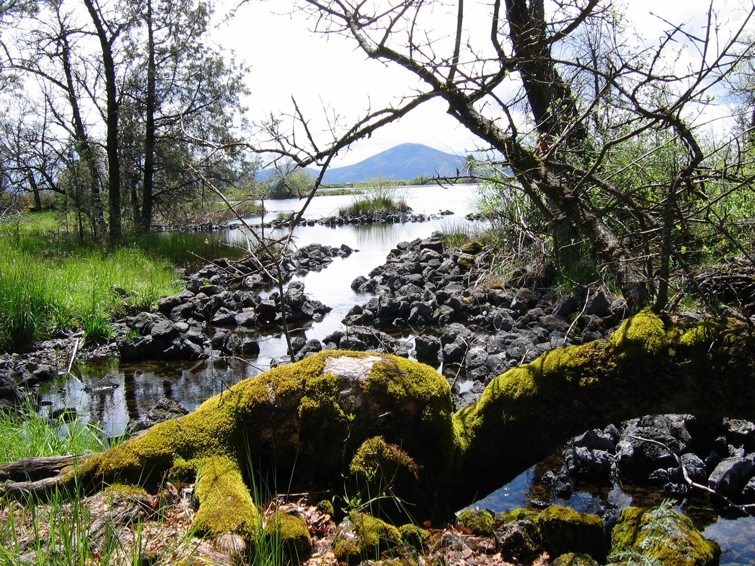 cameron mitchell california water image 