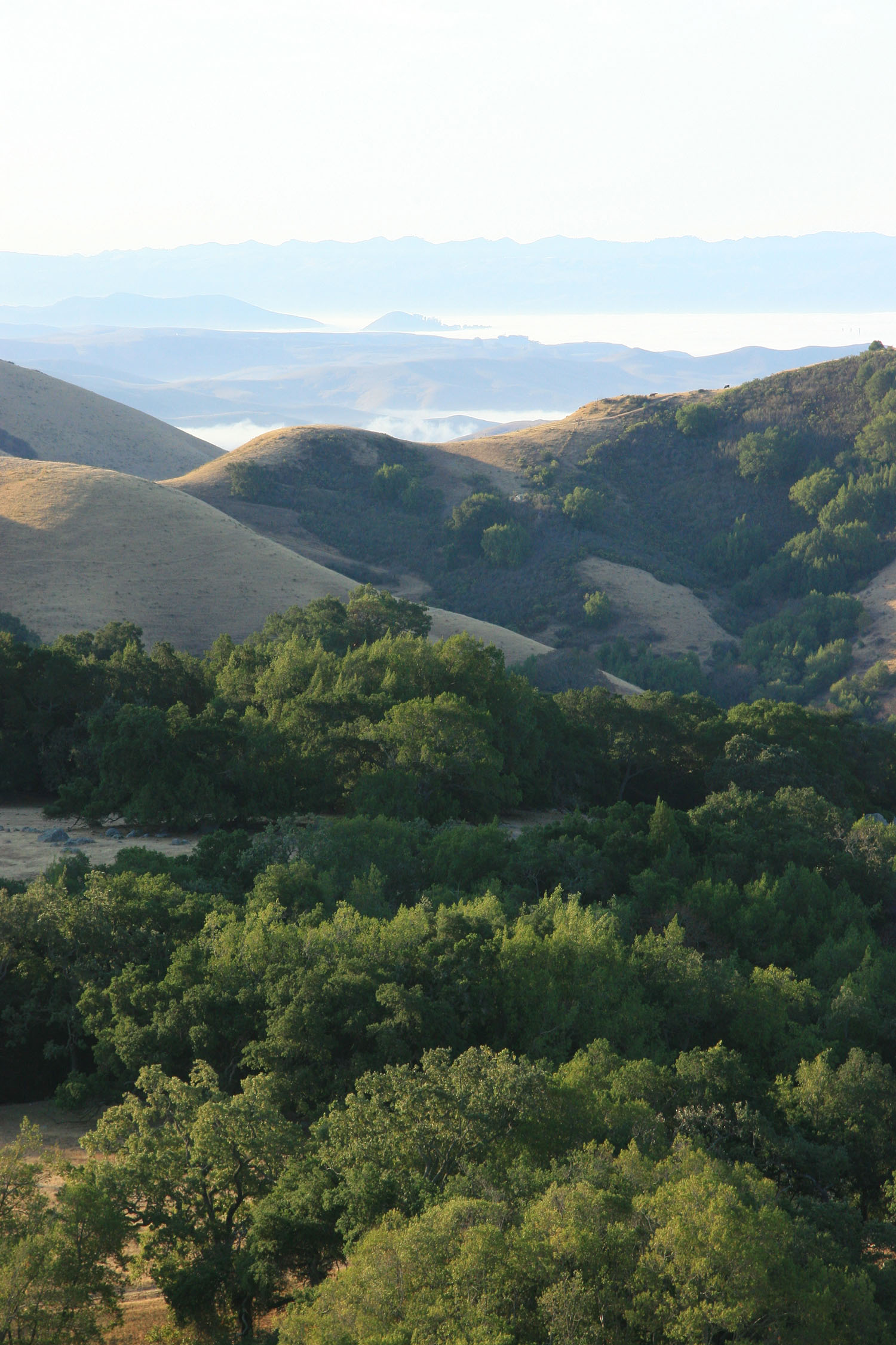 cameron mitchell photo of gree mountains